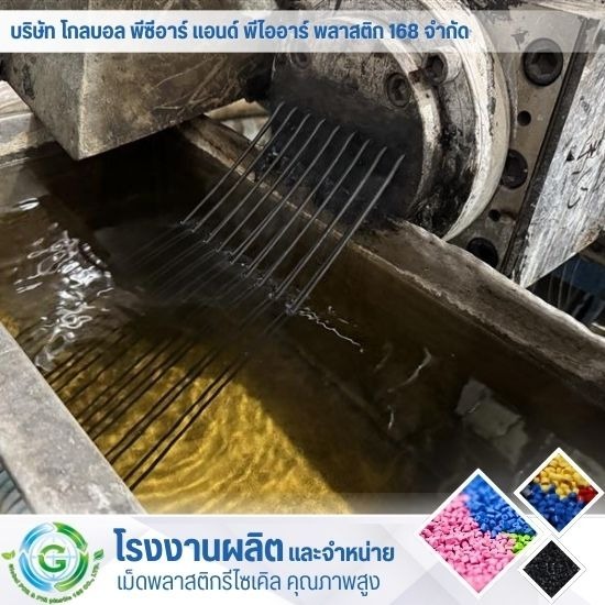 รับหลอมเม็ดพลาสติก - โรงงานผลิต จำหน่ายเม็ดพลาสติก - Global PCR & PIR Plastic 168 รับหลอมเม็ดพลาสติก - โรงงานผลิต จำหน่ายเม็ดพลาสติก - Global PCR & PIR Plastic 168