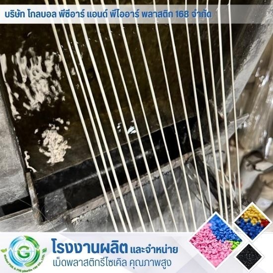ผลิตและจำหน่ายเม็ดพลาสติก - โรงงานผลิต จำหน่ายเม็ดพลาสติก - Global PCR & PIR Plastic 168 ผลิตและจำหน่ายเม็ดพลาสติก - โรงงานผลิต จำหน่ายเม็ดพลาสติก - Global PCR & PIR Plastic 168