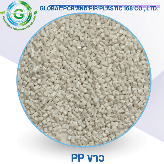 PP ขาว PP ขาว