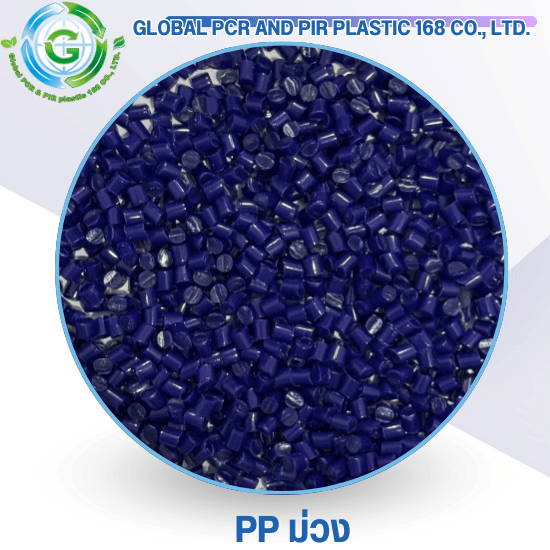 PP ม่วง PP ม่วง